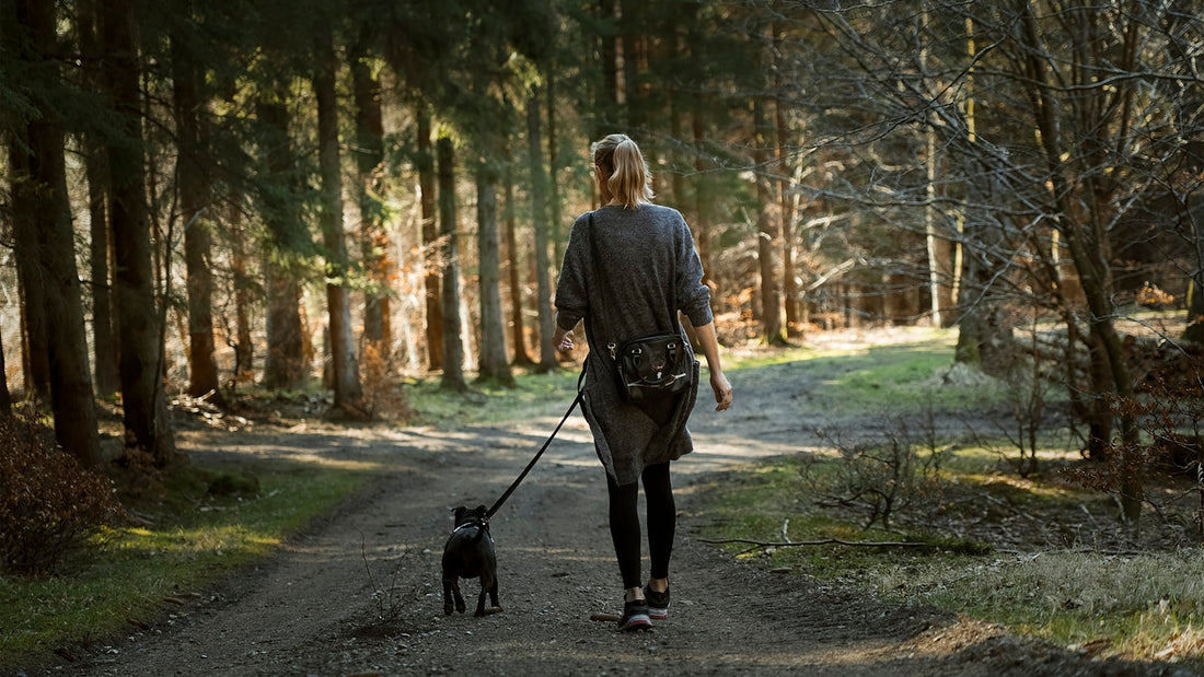 Localizzatore GPS per animali per cani e gatti smarriti: la tranquillità di sapere dove si trovano