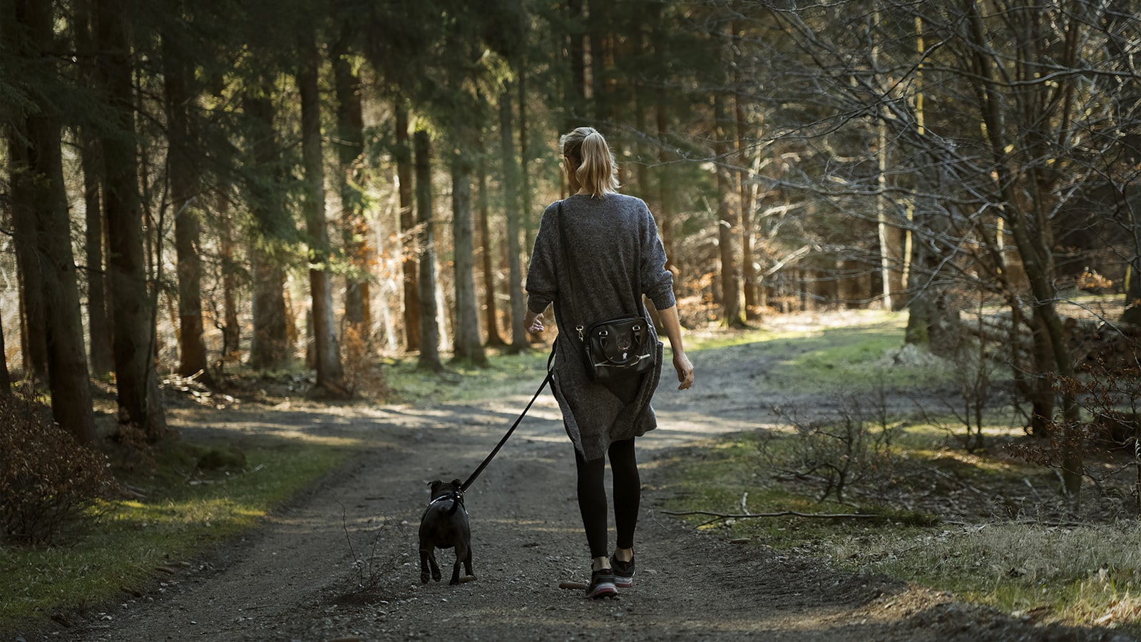 Localizzatore GPS per animali per cani e gatti smarriti: la tranquillità di sapere dove si trovano